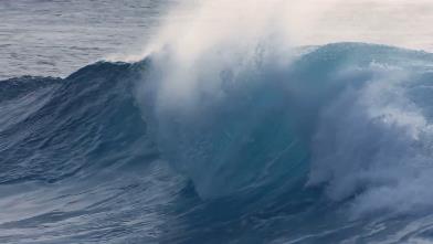 Listen to the sea Listen to the sea